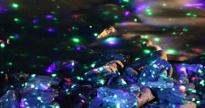 加拿大奇幻森林,加拿大魔法森林风景