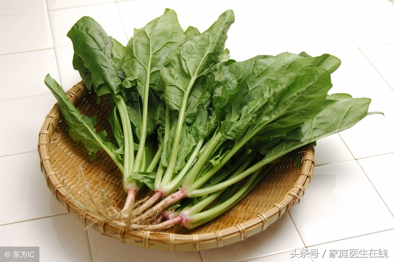 什么食物补充叶酸比较快,孕妇补充含叶酸类食物很有必要