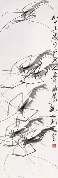 齐白石画虾的6只虾,画虾齐白石虾的画法步骤