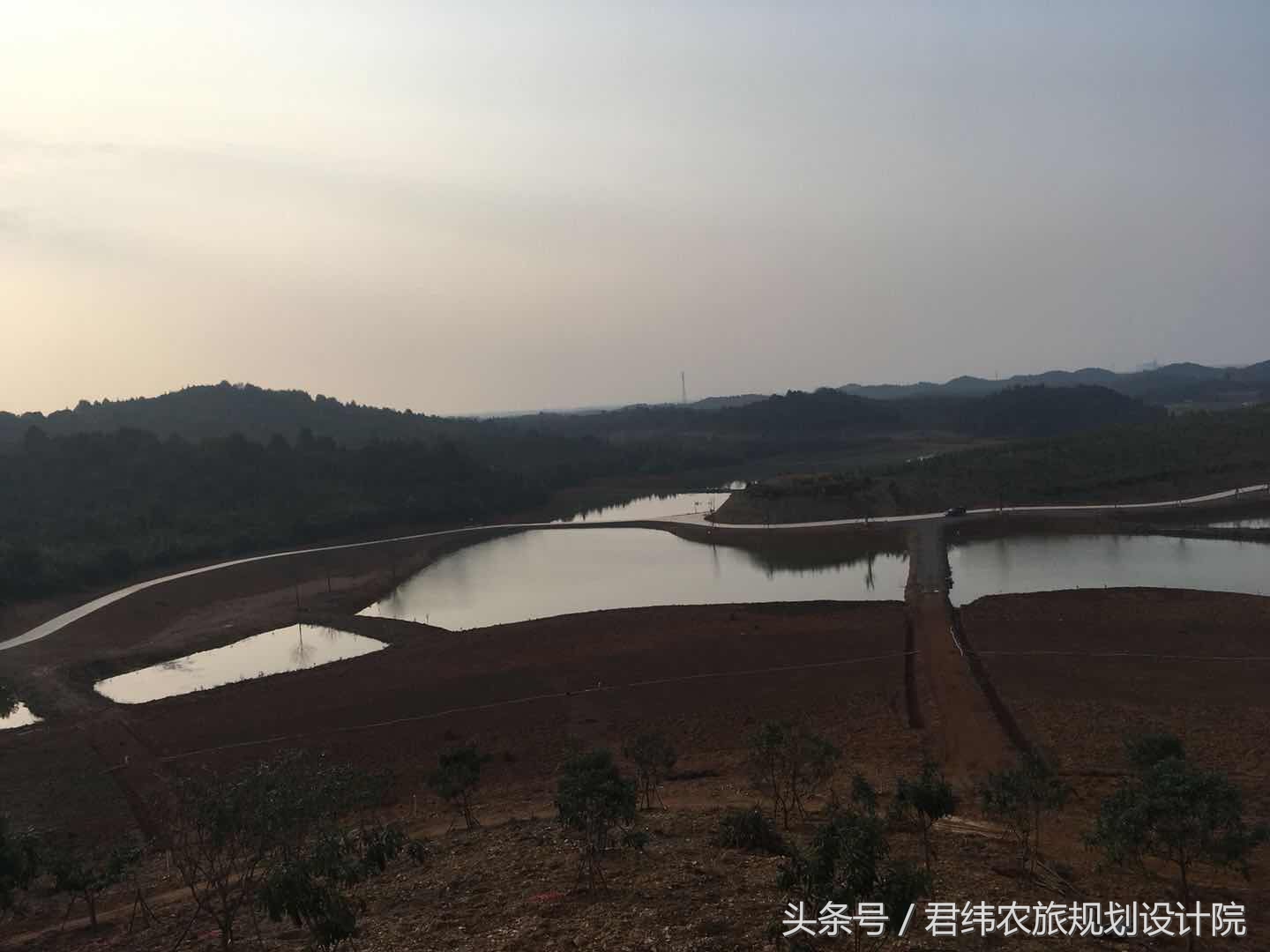 国家农业补贴项目明细表格,广西农业种养项目补贴标准一览表