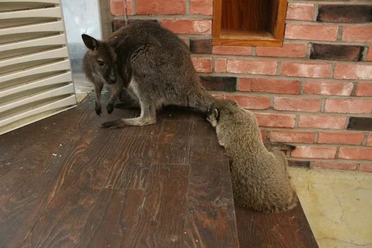 就连文艺女青年也找不到的史诗级咖啡店，因为它们真的藏在角落里