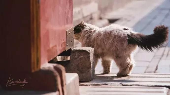 鏁呭18鍙尗,鏁呭鍚哥尗181鍙尗