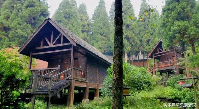 武汉春游两日游攻略大全,武汉春游适合去哪里玩