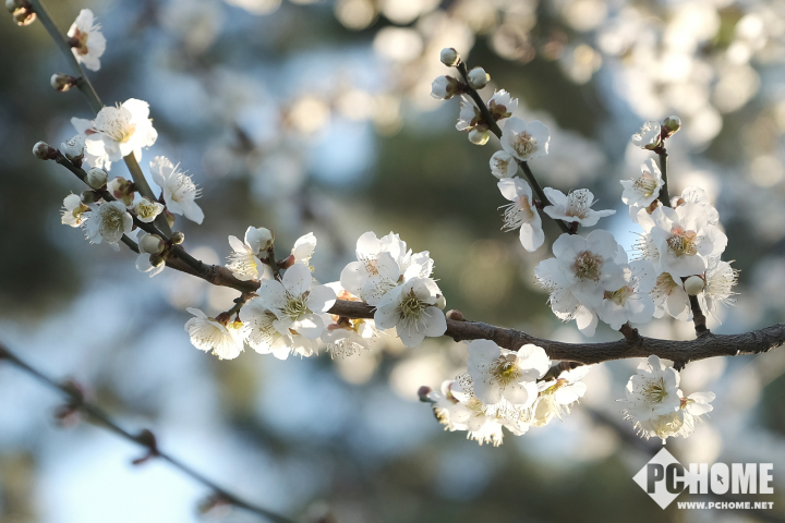 xh1富士拍夜景,x-h1富士