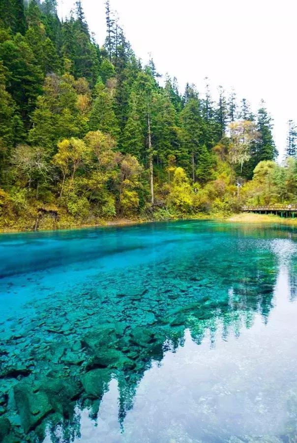 九寨沟震后形成新景观,人间仙境九寨沟震后依然山清水秀