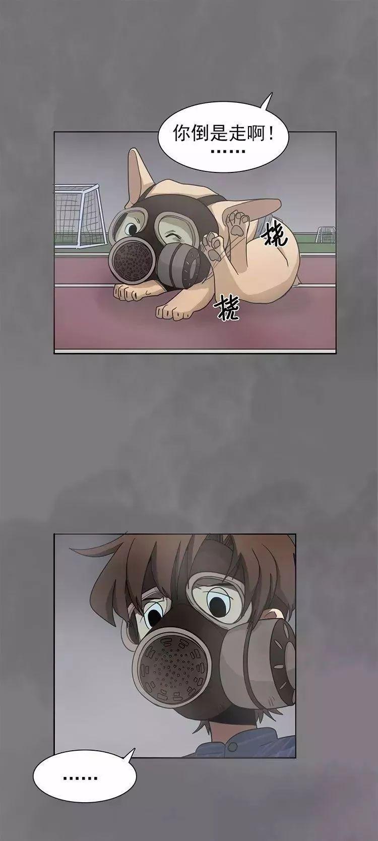 猫和铲屎官的日常生活漫画,铲屎官的搞笑漫画