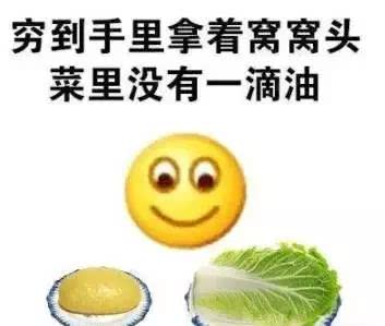 想要做个精致的猪猪女孩,本来想做一个精致优雅的女人