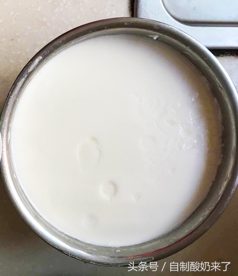 酸奶口碑最好的是哪一款,莫斯利安酸奶有几种哪个质量最好