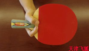 乒乓球系统训练计划明细表,乒乓球基础教练教学书籍