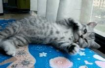 女神节特刊,女神节产康科活动