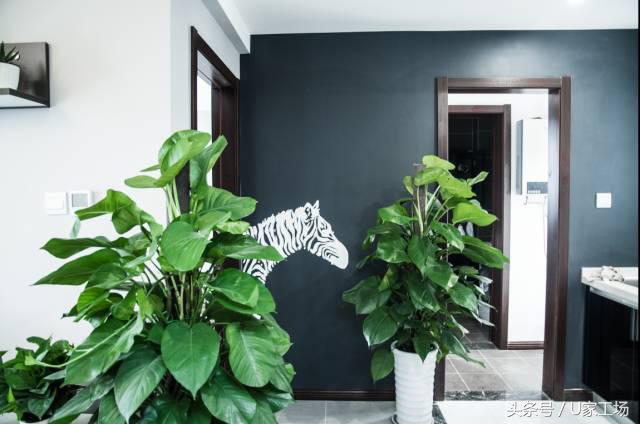 7w爆改56m²现代风，拯救小户型只需拆一堵墙！