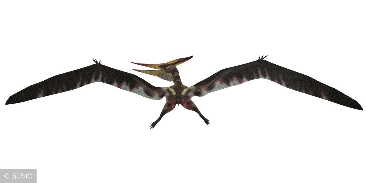 宝宝喜欢恐龙的原因 (3-6岁喜欢的恐龙)