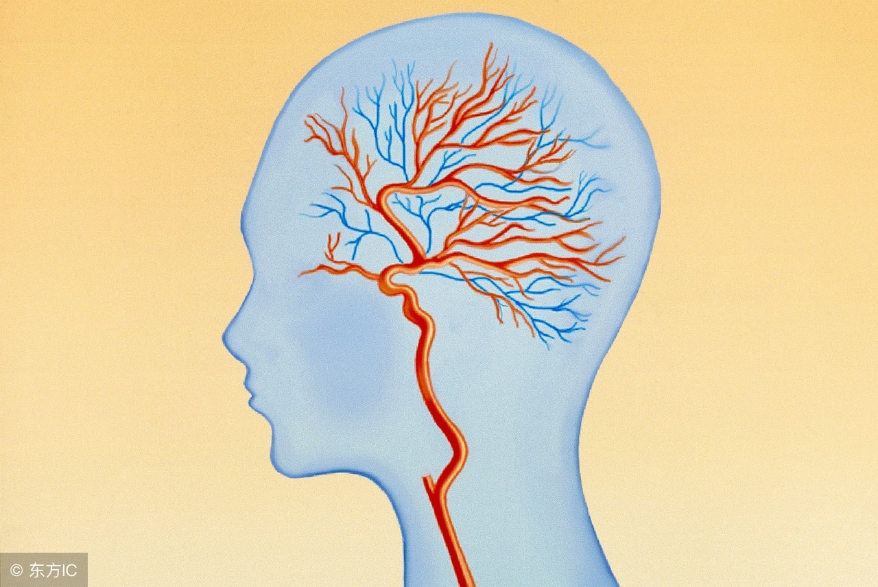 脑供血不足和脑缺血怎么办,脑供血不足的原因及治疗