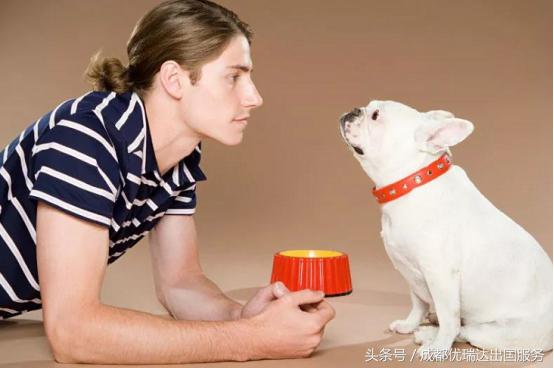 美国海关入境禁带物品,美国海关禁止入境物品