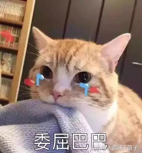 花泽类周渝民最新样子,花泽类周渝民王银雪