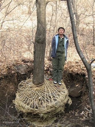春天农村大集现在都卖什么生意好,今年农村适合做什么小买卖