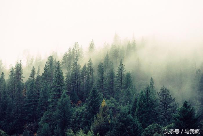 photoshop教程带资源,photoshop调用图层