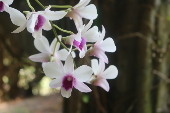 三亚大理丽江哪里拍婚纱照好,去三亚拍婚纱照中国风