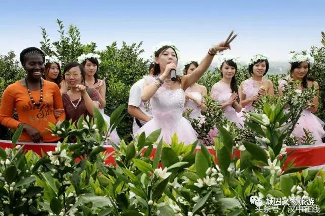 万物复苏春暖花开适合去玩的地方,花开的季节大家快来看风景