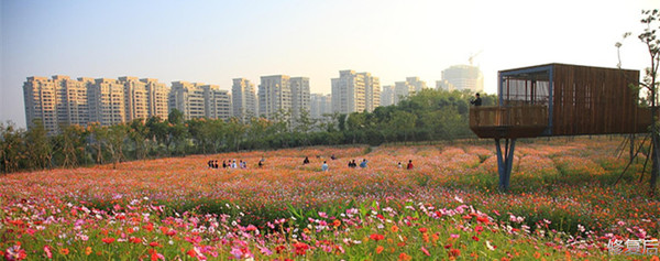 城市双修是什么,城市双修纪实