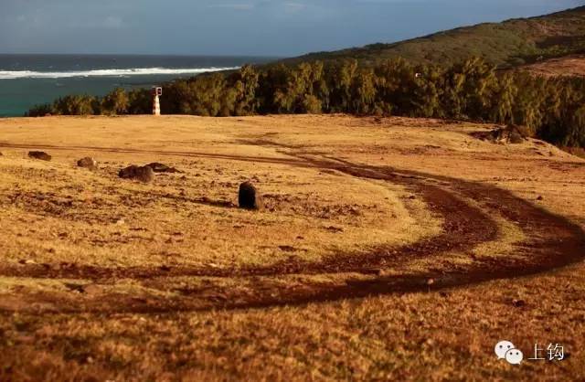 在荒蛮的世界尽头追猎“怪物”