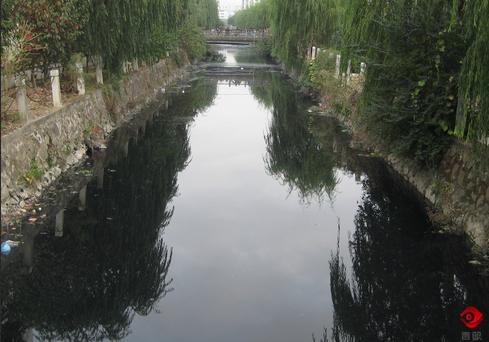 化妆水里的丙二醇,化妆水是怎么弄出来的