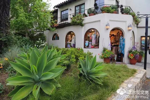 必看|台湾是中国的,多肉是世界的!