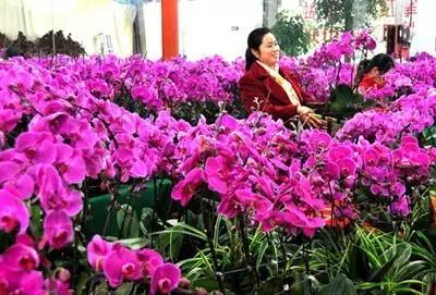 如果哪天你在长沙生活不下去了，一定要看这条微信！