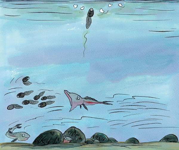 《蝌蚪的诺言》她是他眼中最美的彩虹