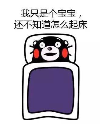 养猪人如何应对猪价变化,养猪新政策最近猪价