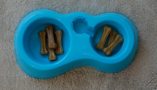 亚龙湾美高梅蜜月,海棠湾红树林和亚龙湾美高梅