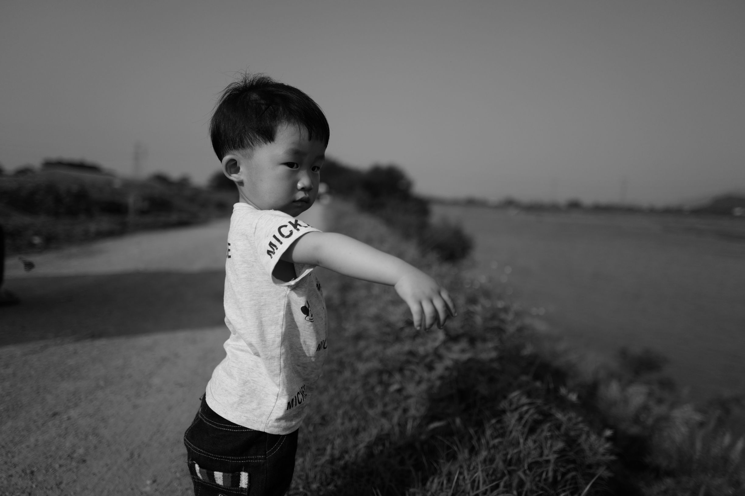 这才是德味-LeicaQ一个月使用报告