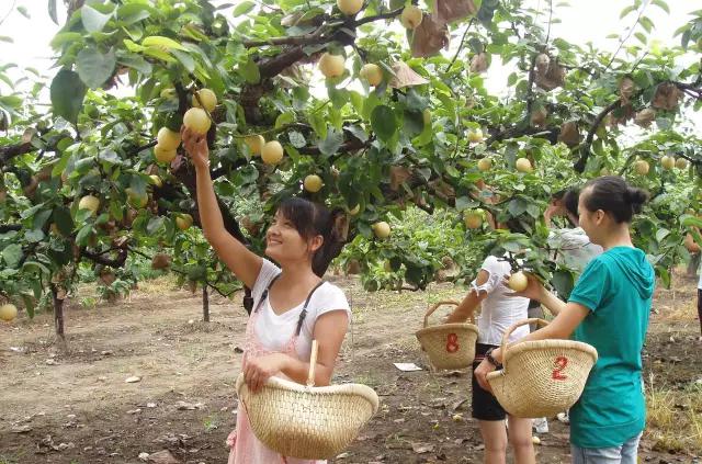 山东德百温泉旅游小镇,山东德州德百温泉度假村