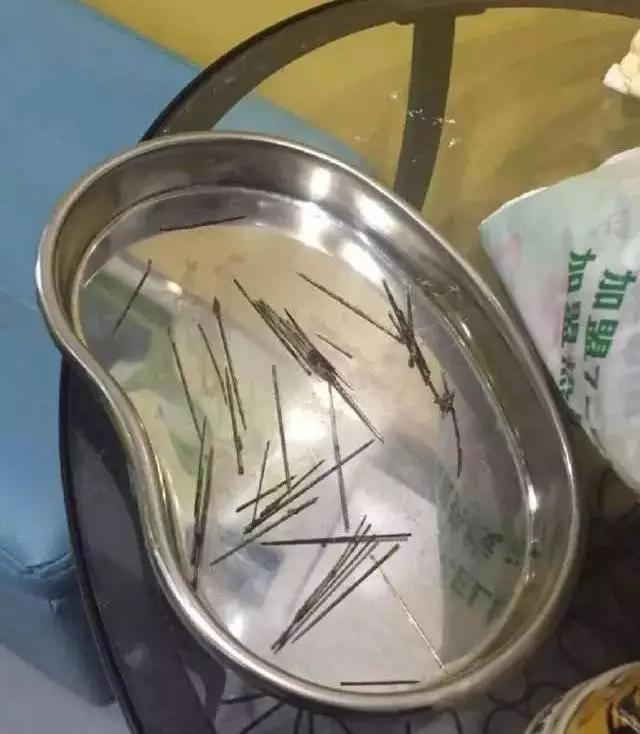 PO!闻主人臭脚狗狗转头作呕外国情侣办婚礼请1000只喵星