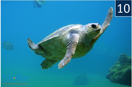 英国硕士商科最好就业的专业,英国商科好的专业