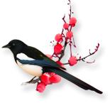 湿疹痒痒用什么药膏,湿疹西医和中医一起治会效果好吗