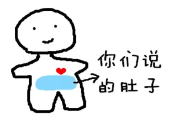 肚子的科普视频,科普人体肚子