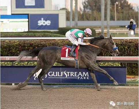 世界顶级赛马赛事,世界顶级赛马赛事直播视频回放