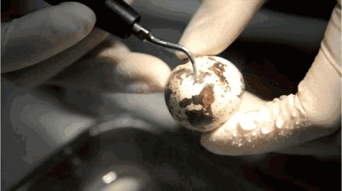 牙齿美白tips,变美第一步美白牙齿