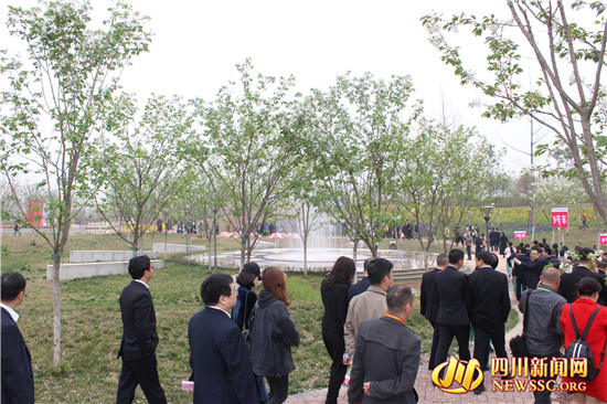 四川眉山樱花博览园,眉山岷江樱花视频