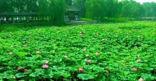 北京游玩一年不重样,一天游北京攻略大全