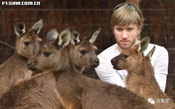 「白兔堂」可能只有不到10%的游客在澳洲玩到了这些！你玩对了吗？