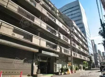 3月东京樱花,东京买房最新信息