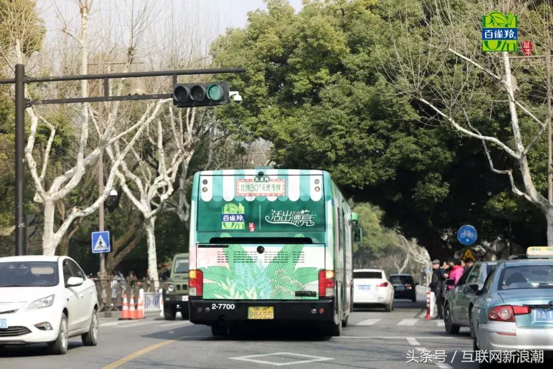 百雀羚北纬30度演唱会,百雀羚跨界有多厉害