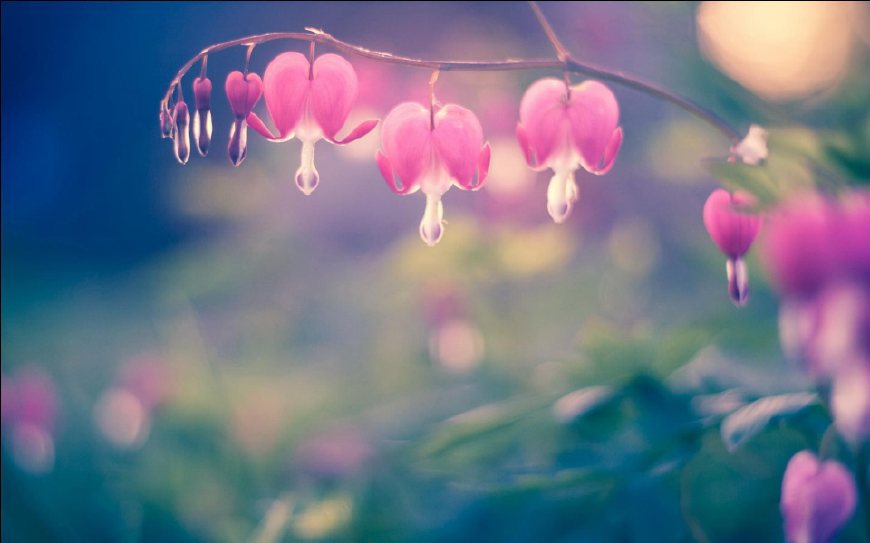 挽回前任被拉黑最有效的方法,被拉黑了怎么挽回男友