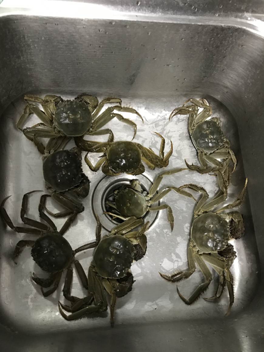 拼多多为什么被卖家吐槽,拼多多套路多多