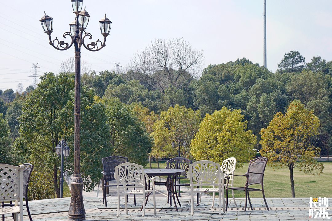 湖南信息学院为什么不出名,湖南信息学院水平怎么样