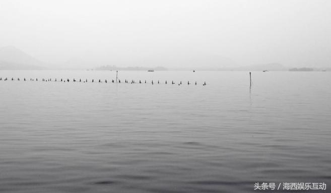 摄影是光影的艺术用英语怎么说,摄影是美学吗