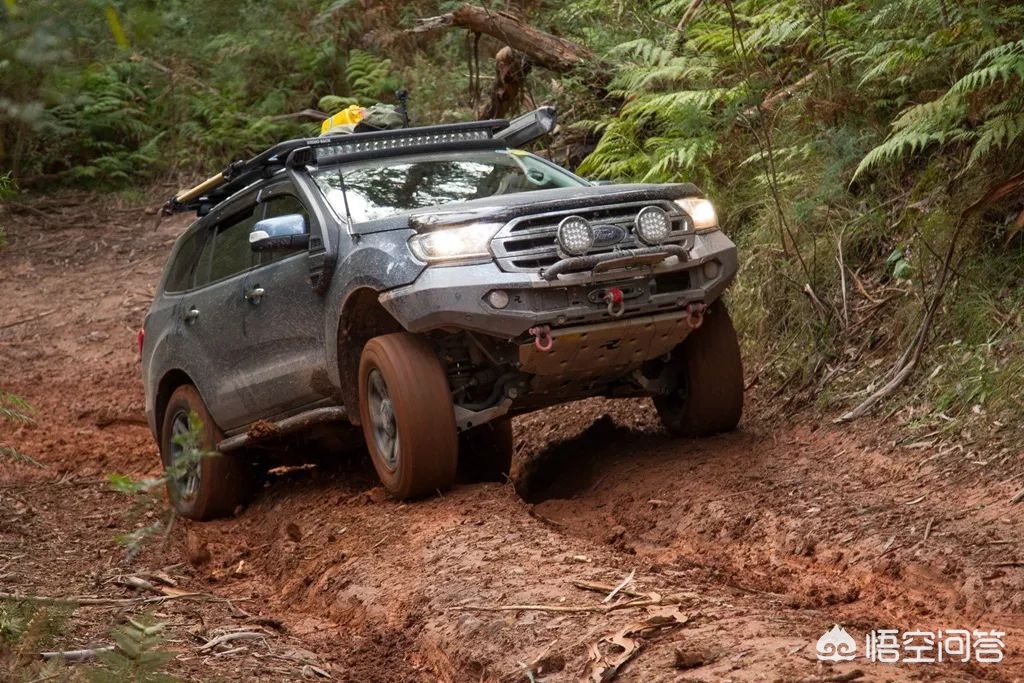 柴油车是不是比汽油车省油得多,柴油车不省油的原因