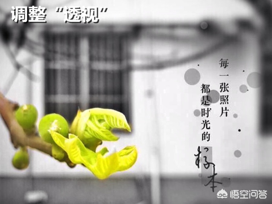 照片墙面p歪怎么修复,手机图片校正画面倾斜怎么办